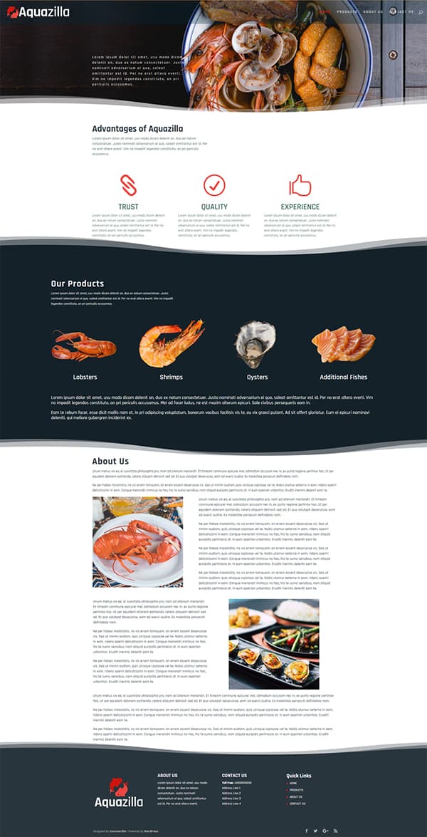 Aquazilla Homepage Design